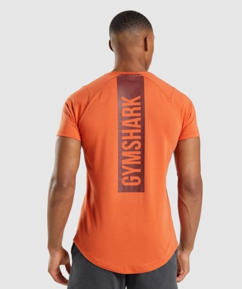 Koszulki Gymshark Bold Męskie Pomarańczowe | PL 436HPO